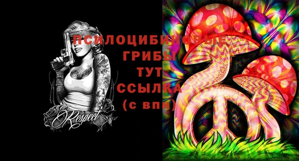 крисы Балахна