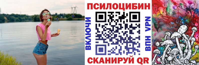 купить закладку  Тбилисская  Галлюциногенные грибы Magic Shrooms 